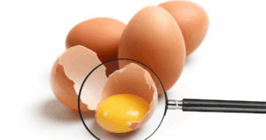 Huevos de gallina con la yema resaltada bajo una lupa, ilustrando la importancia de la calidad nutricional de los huevos en una alimentación antiinflamatoria.