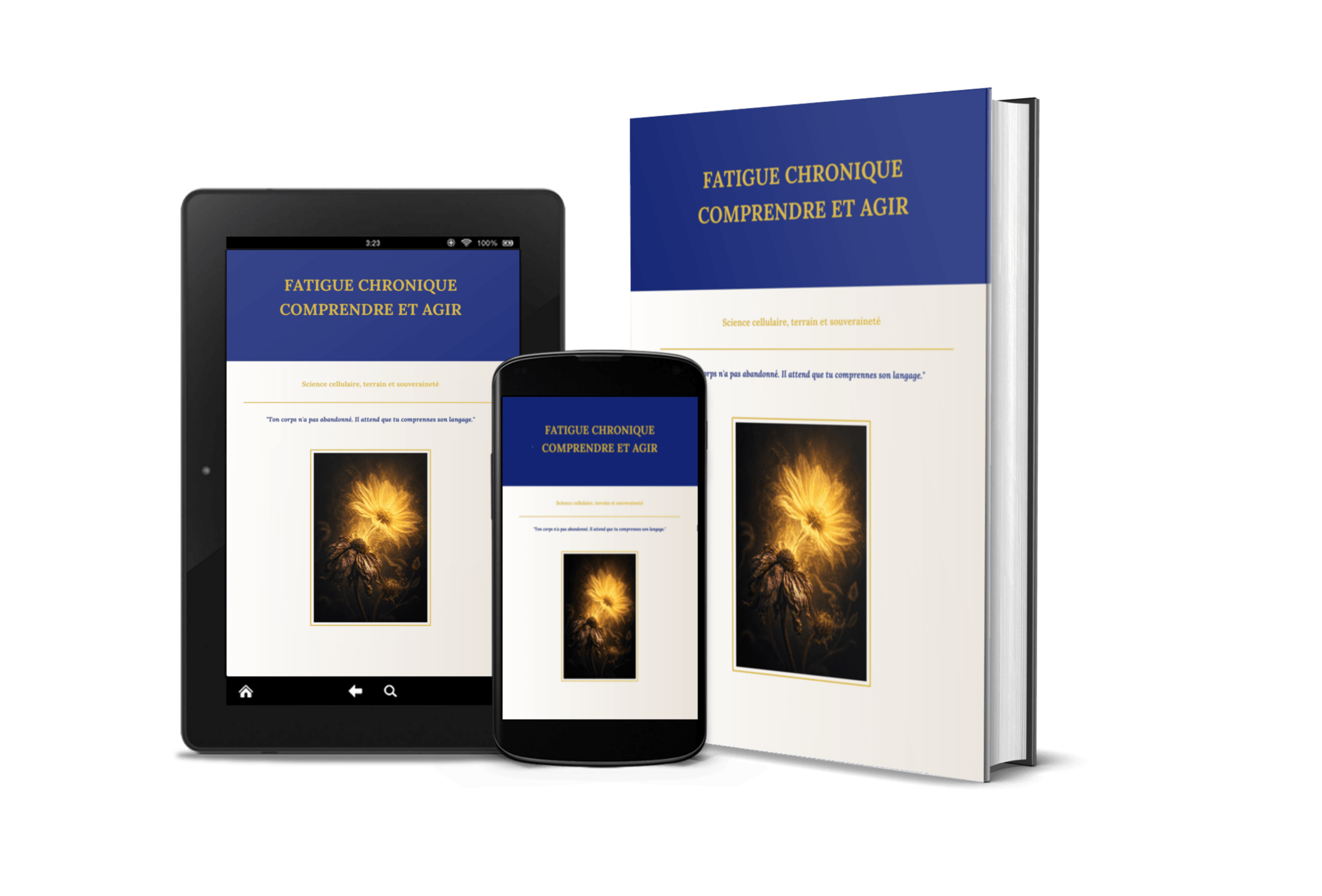 Présentation du livre de formation Fatigue Chronique Comprendre et Agir au format PDF sur tablette, smartphone et en version imprimée.